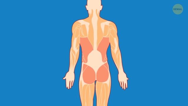 8 ejercicios simples para perder las manijas del amor sin ir al gimnasio смотреть онлайн