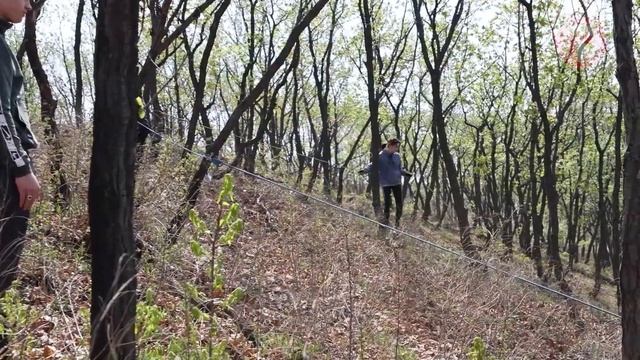 Городские соревнования по спортивному ориентированию прошли в Уссурийске смотреть онлайн