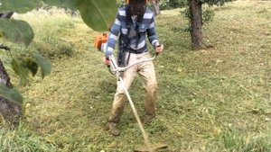 STIHL FS 450 work
