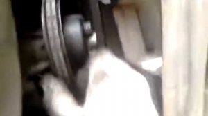 Люфт помпы ваз классика