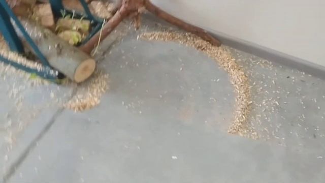 DRC200z Makita робот- пилосос смотреть онлайн