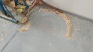 DRC200z Makita робот- пилосос