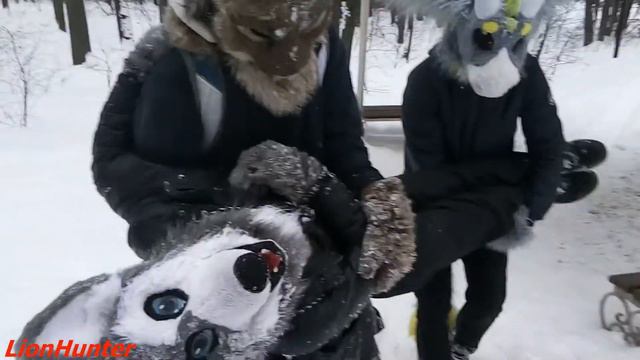 Фурри прогулка в Сокольниках - Беседка смотреть онлайн