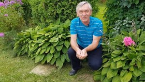 Жаба - польза или вред?