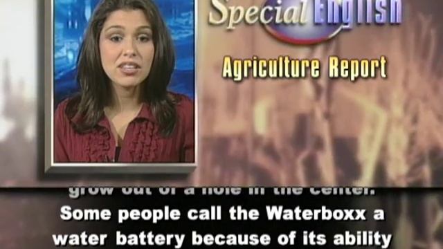 Growing Trees in the Desert, With the Aid of a 'Waterboxx' смотреть онлайн