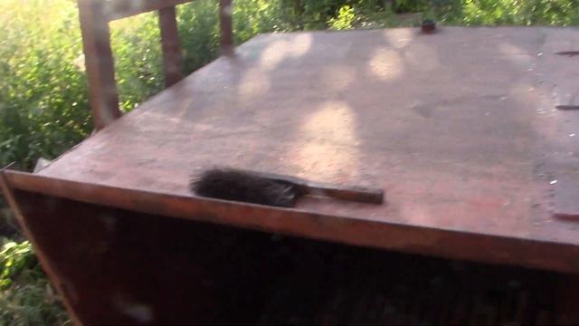 Не ругайся пеночка...Кайф! смотреть онлайн