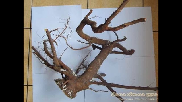 Декор комнаты. Декор из корней дерева. Декор из веток.