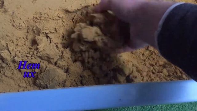 черепаха побег и ложная кладка смотреть онлайн