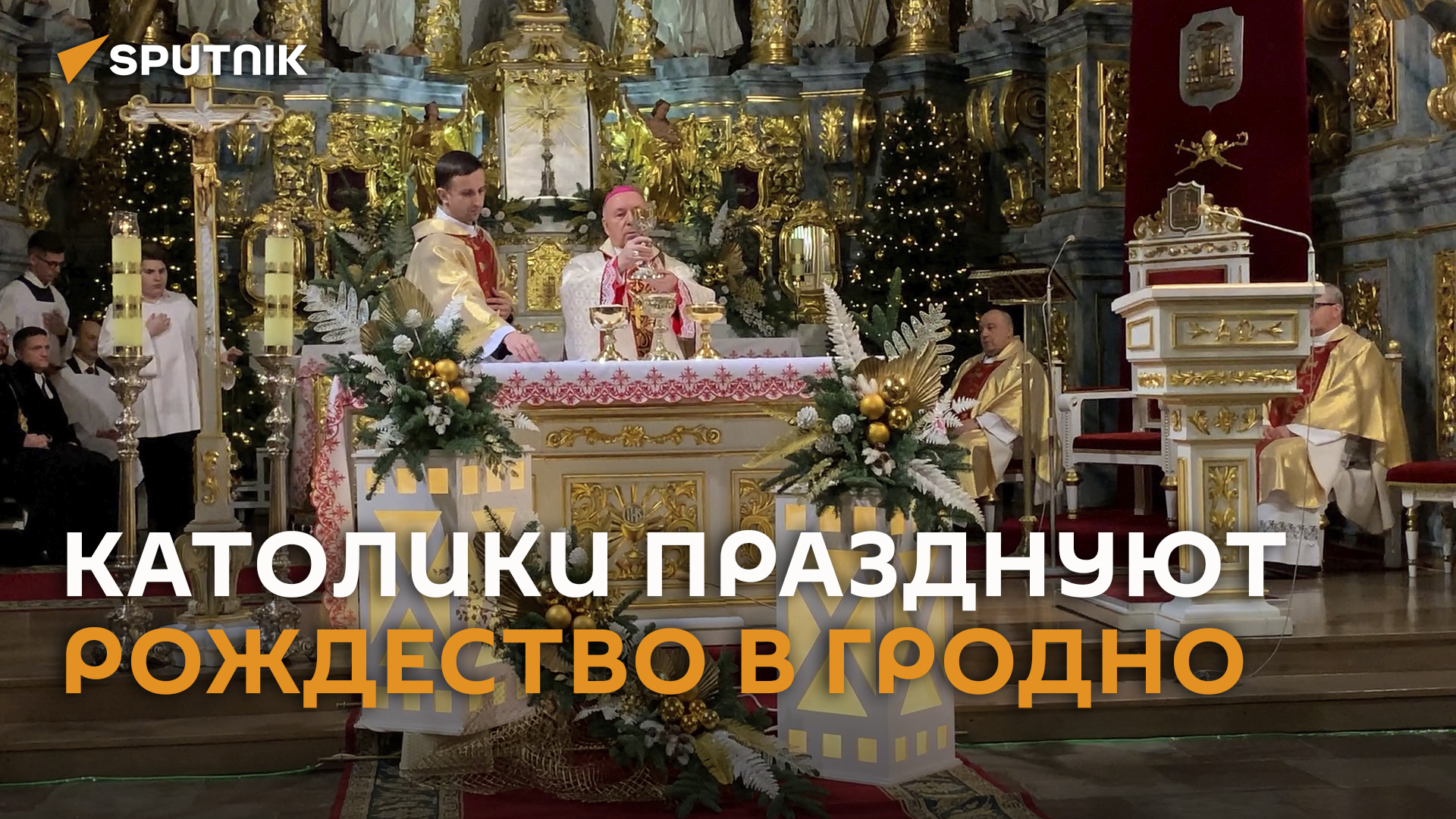 С мыслями о мире в волшебную ночь.