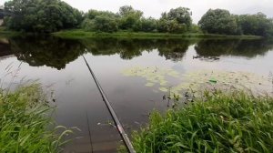 Звенигород.Мосвка река.Рыбалка