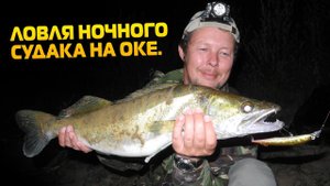 Ловля ночного судака на Оке