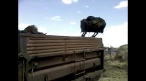 Погрузка навоза МТЗ 80