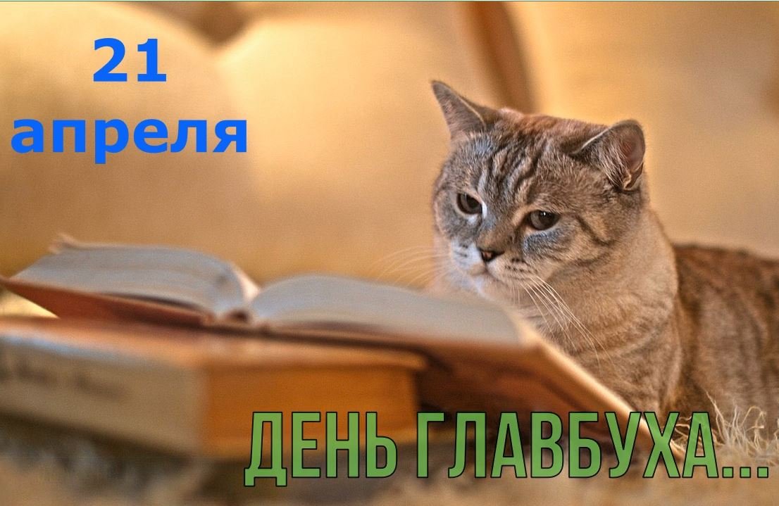 Красивое поздравление с днем главбуха! Поздравляем бухгалтера. Музыкальная открытка.