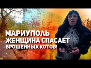 Мариуполь брошенным животным тоже нужна помощь!