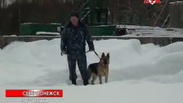 Прионежский телевизионный курьер савинский