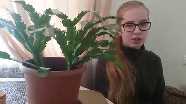 video 0 02 05 720e2c1e68c12c86e0ced7871b23b7d360c96c75aad6e23eea56b8635e994ff7 V смотреть онлайн