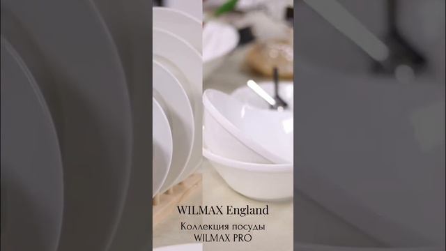 Коллекция посуды WILMAX PRO