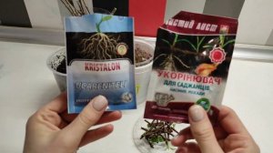 КАКАЯ У МЕНЯ ПОДСВЕТКА И ЧЕРЕНКОВАНИЕ ОДРЕВЕСНЕВШИМ ЧЕРЕНКОМ