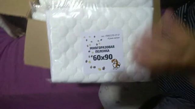многоразовые пеленки для чихуахуа Симферополь смотреть онлайн