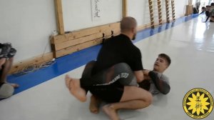 семинар профессора Фернандо Ямасаки no gi