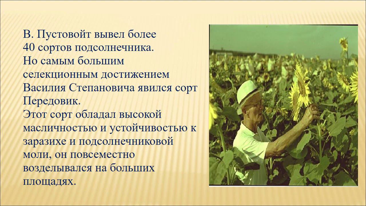 Василий Степанович Пустовойт (1886—1972)
