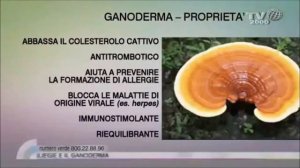 Il Ganoderma Lucidum Reishi e i suoi benefici a TV2000 servizio in TV