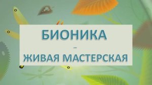 Видеопрезентация «Бионика – живая мастерская» (12+)