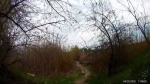 стреляю как серый охотник+дачная тропа