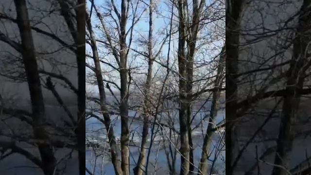 Снежная красота в саду, река Днепр #семейныйблог #украина #жизнь