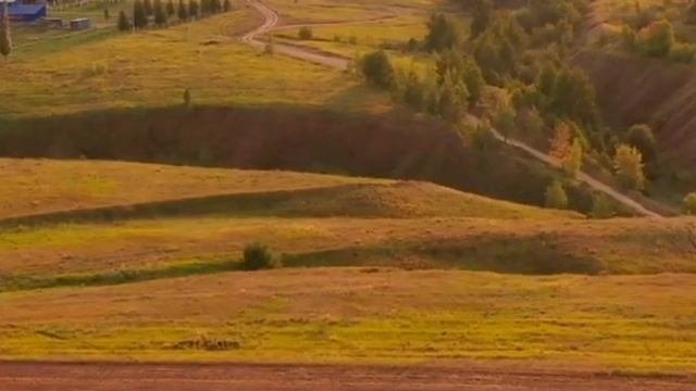 Как жить