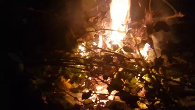 Всех поздравляю с Хэллоуином!!! Время, когда сбываются желания и мечты у всех!!!