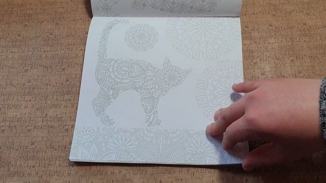 Обзор на раскраску "Cats" смотреть онлайн