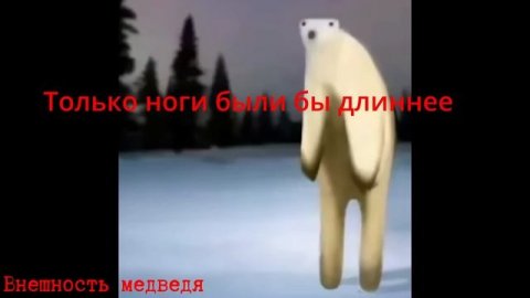 Разбор МЕМ ИЗ 2026 ГОДА | Медведь 2026 - кто такой?