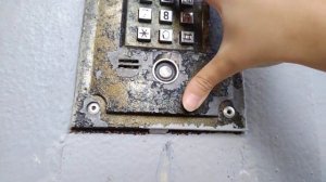 Домофон VIZIT БВД-N100 + код