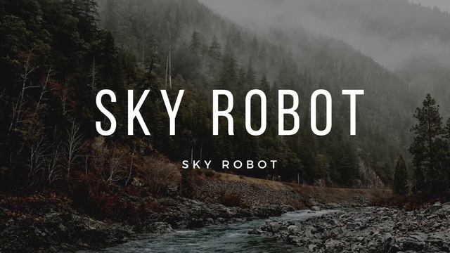 Progressive Metal - Ibanez RGR321EX - Sky Robot смотреть онлайн