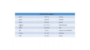 Unit 10: Clever animals! Spotlight 3