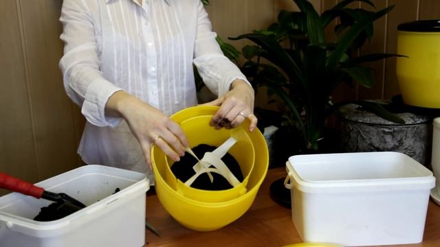 Кашпо с автополивом "Умный горшок" смотреть онлайн