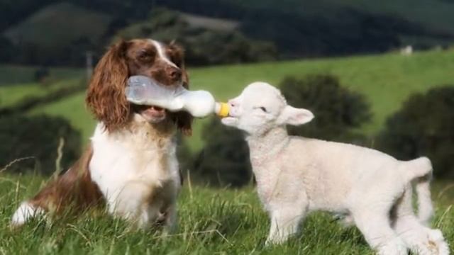 Спасибо за то, что ты мой друг смотреть онлайн