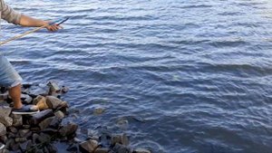 КАК ЛОВИТЬ РАКОВ. ГДЕ живут ОБИТАЮТ РАКИ. Ловля раков на РАКОЛОВКИ. ПЕРЕМЕТ.