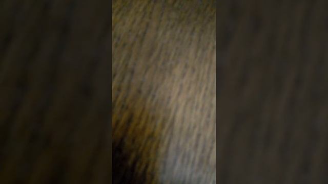 Подробнейший обзор на Boshki NEON **Бешеная жижа** смотреть онлайн