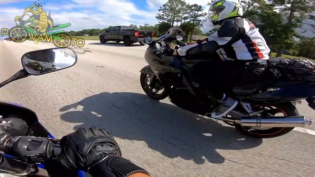 Honda CBR1100XX Super Blackbird Motorcycle Review | Honda Fanboy Strikes Again | Biker Girls