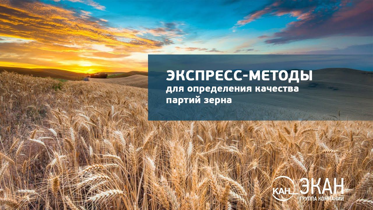 Вебинар ЭКАН №31: Экспресс-методы для определения качества партий зерна