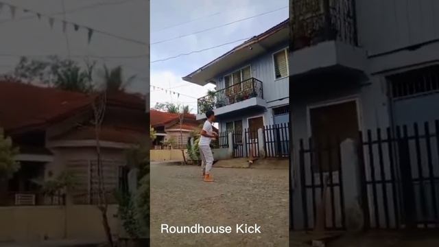 6 Basic of Shotokan Karate Kicks смотреть онлайн