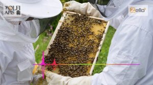 #Кашковский В.Г. Сборные отводки