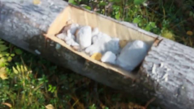 Солонец для лося. Разные виды солонцов смотреть онлайн