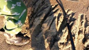 Иртыш. Омская область. Щука на 5 кг.