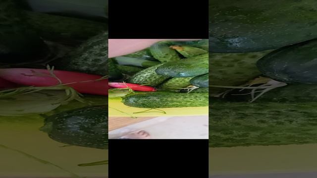 Первые овощи с огородика)))