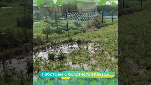 Отсыпка (осушение) заболоченного участка