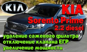 KIA Sorento Prime: удаление сажевого фильтра (DPF), отключение клапана ЕГР, увеличение мощности