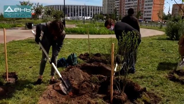 Нижегородские экологи вместе с сотрудниками мэрии посадили  деревья и кустарники на Мещерском озере